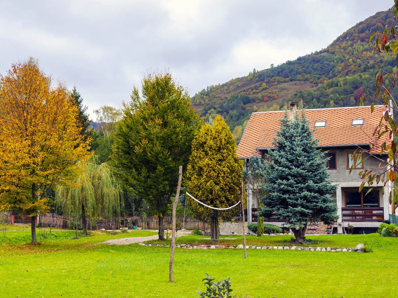 Camping Casa-Dorina — Camping in Petrila