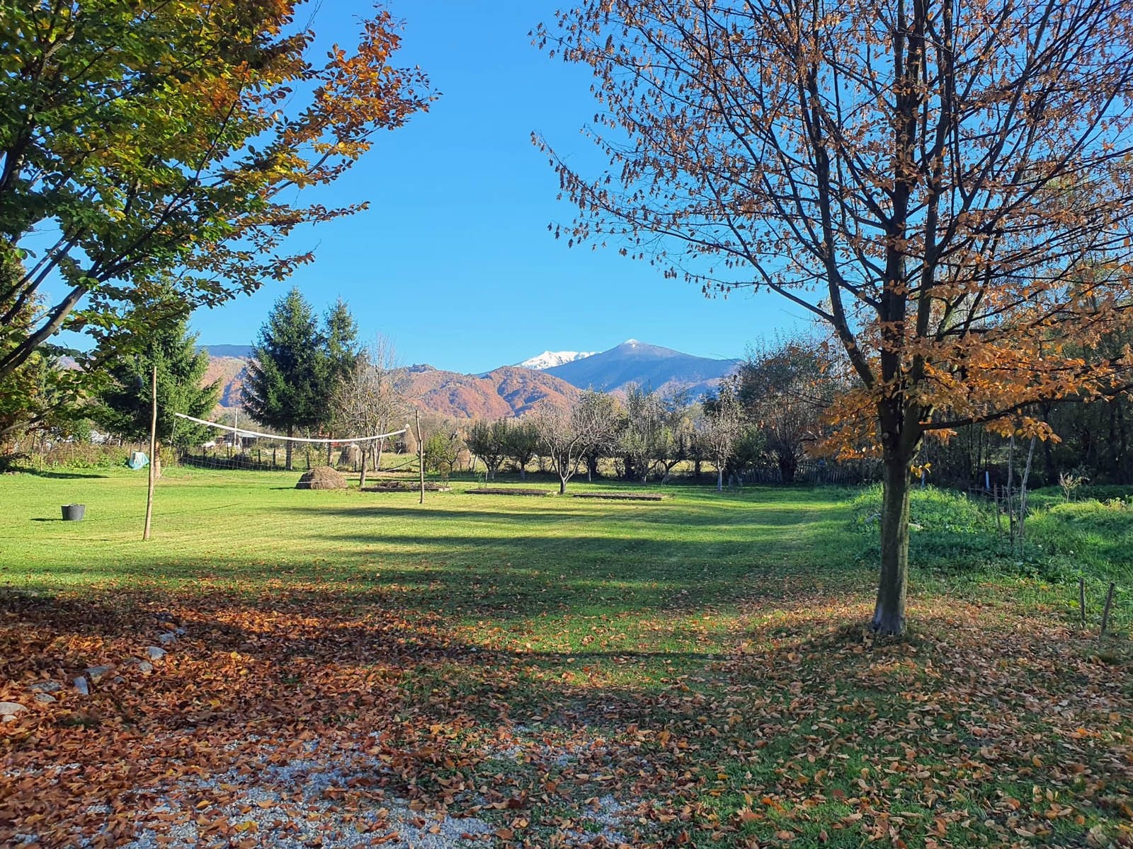 Camping Casa-Dorina — Sítio de acampamento in Petrila