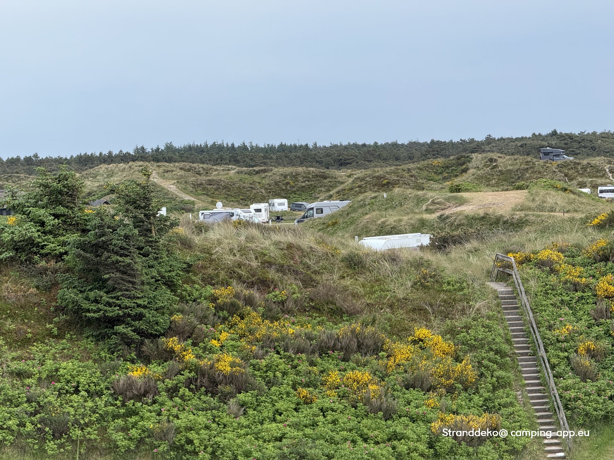Vejers Strand Camping — Foto 6