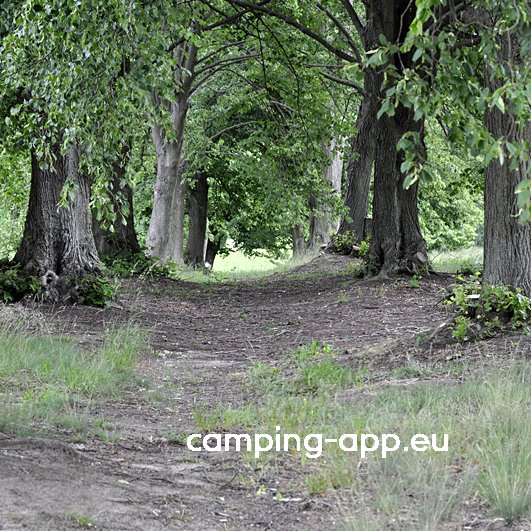 Biber Ferienhof — Foto 2