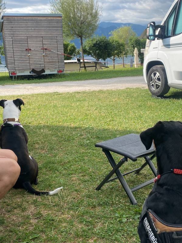 Campingplatz Traunsee