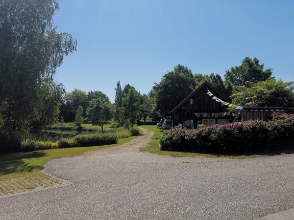 Camping & Pension an der Donau **** — Photo 6