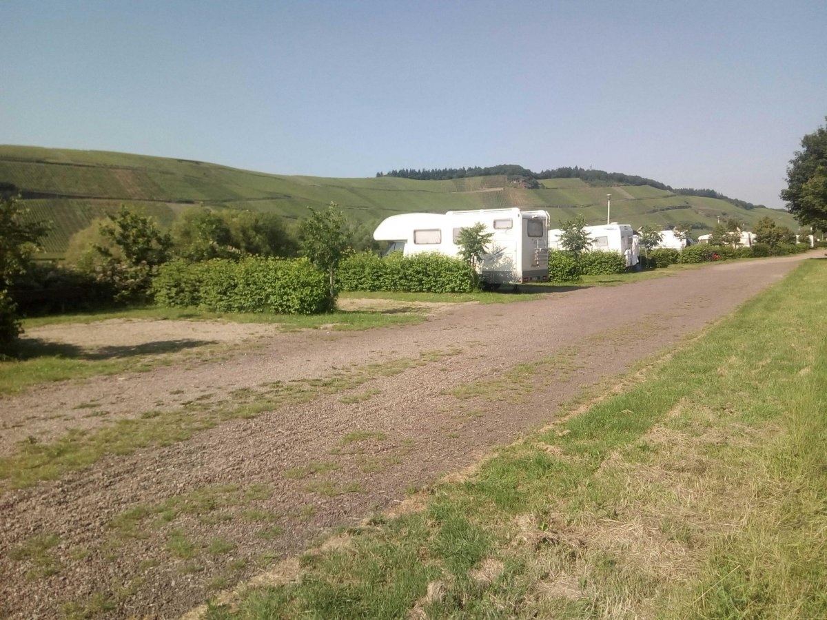 Stellplatz Brauneberger Juffer Brauneberg — Sítio para autocaravanas in Brauneberg-Filzen