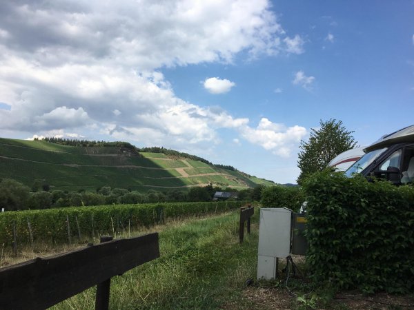 Stellplatz Brauneberger Juffer Brauneberg — Photo 2