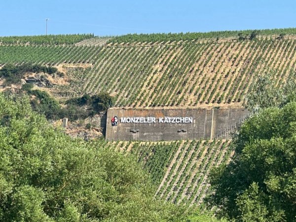 Stellplatz Brauneberger Juffer Brauneberg — Photo 6
