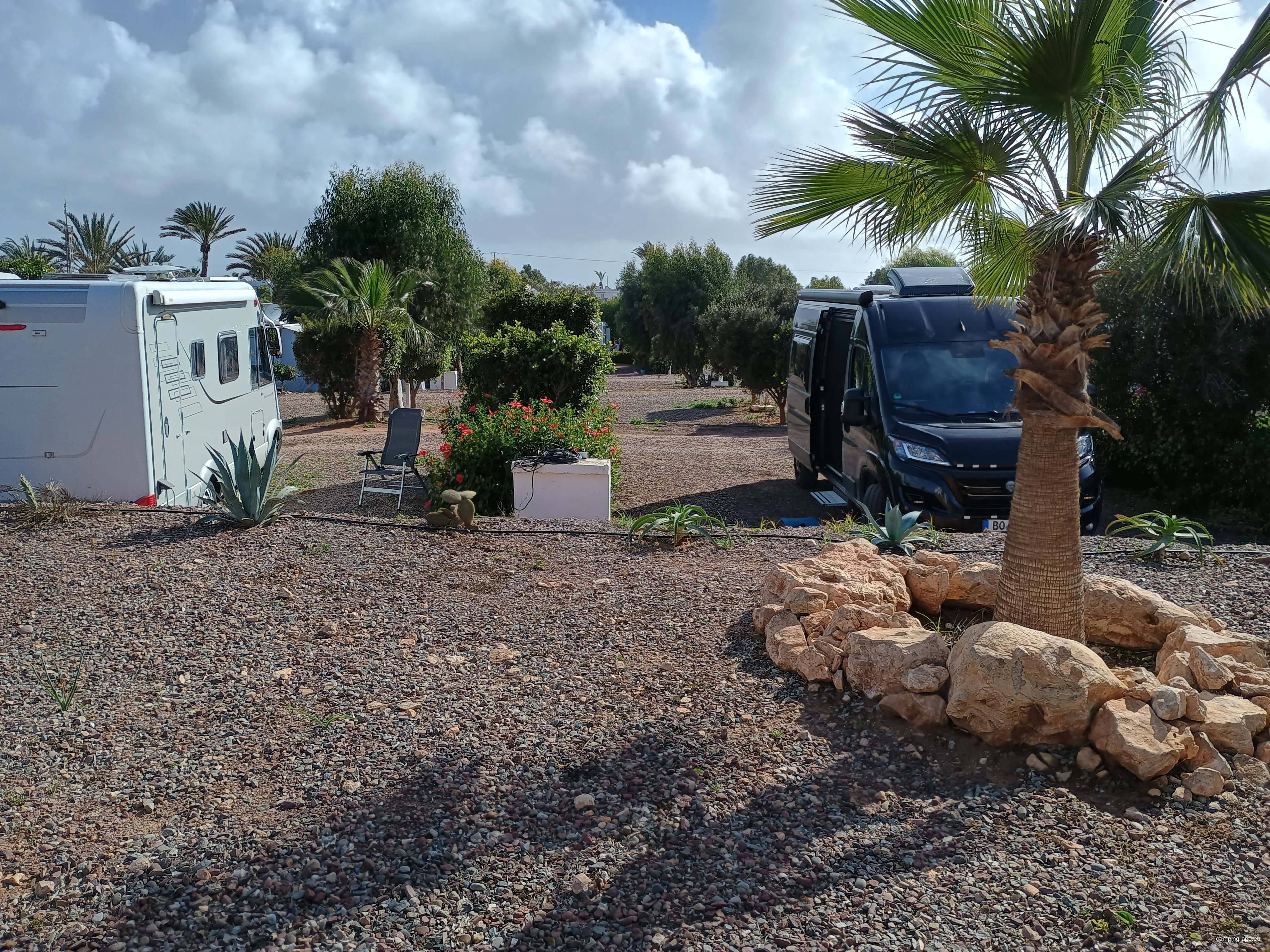 La palmeraie — Camping in Tifnit
