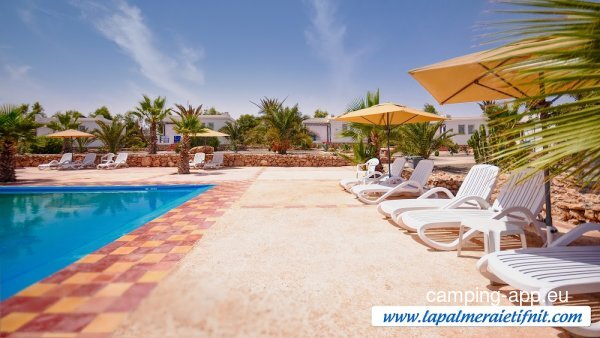 La palmeraie — Photo 2