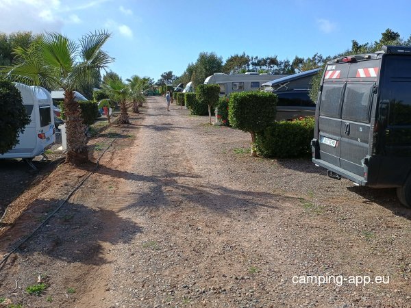 La palmeraie — Photo 5
