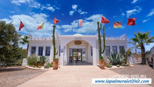 La palmeraie — Photo 4