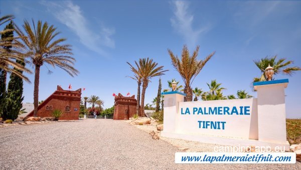La palmeraie — Foto 6