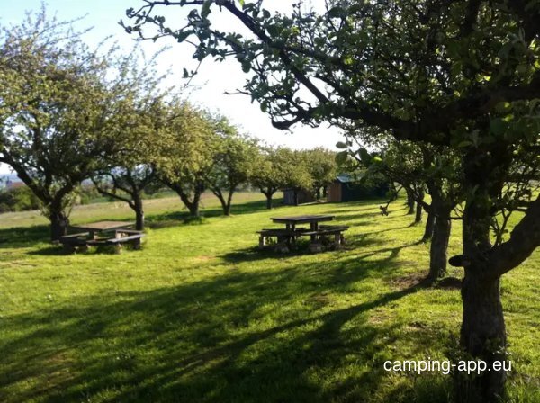 Zeltwiese Löbejün — Photo 2