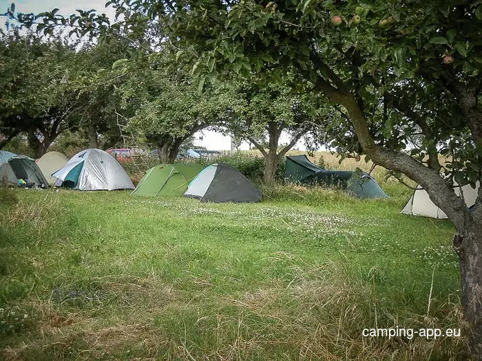 Zeltwiese Löbejün — Camping in Wettin-Löbejün