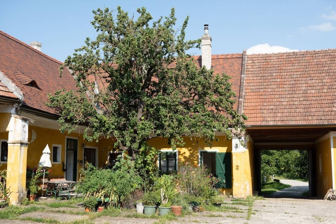 Campingplatz Finsterhof — Kemping in Neulengbach