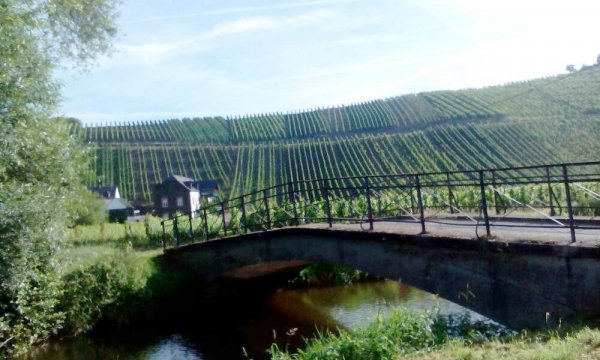 Schönes Dhrontal — Photo 3