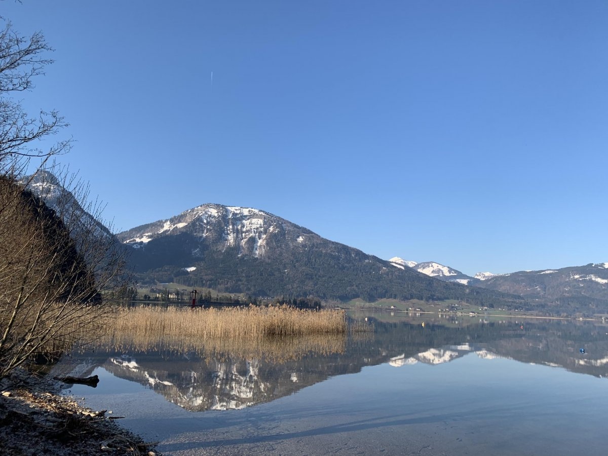 Camping am Wolfgangsee am Landhotel Berau — Campingplatz in St. Wolfgang im Salzkammergut