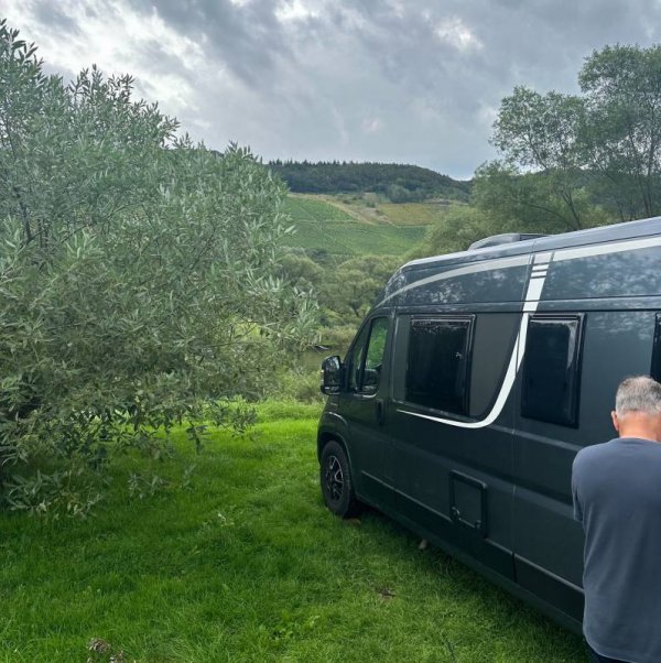 Stellplatz am Moselufer Reil — Photo 3