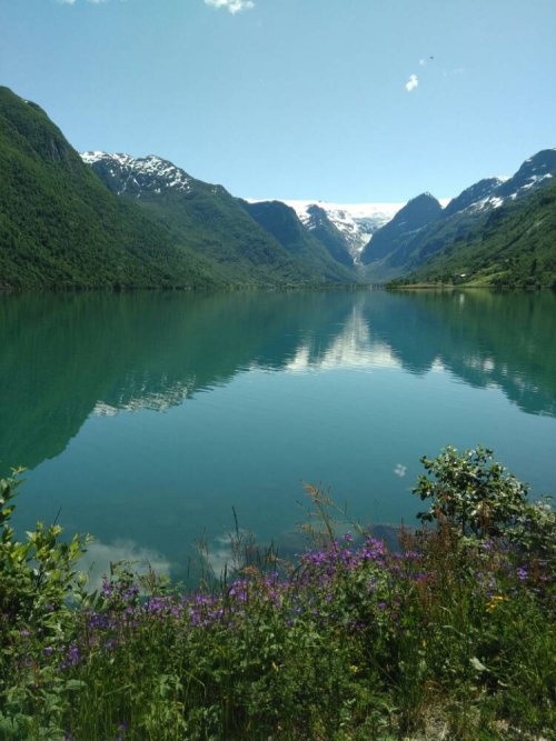 Olden Camping Gytri — Campingplads in Olden