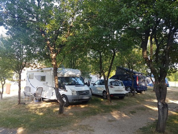 Camp Bear — Foto 3