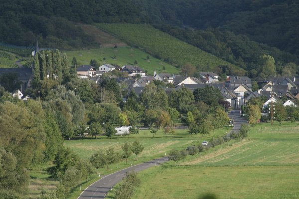 Wohnmobilpark Veldenz