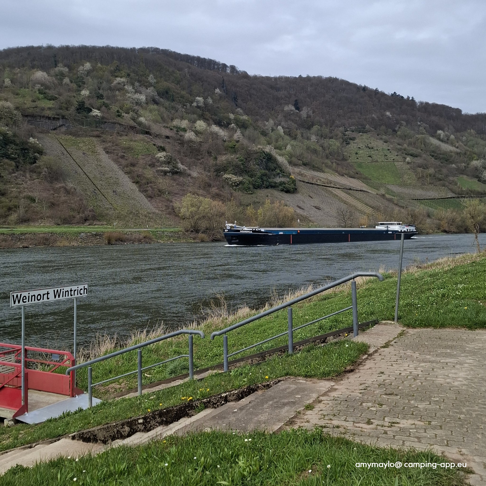 Mosel Stellplatz Wintrich — Foto 3