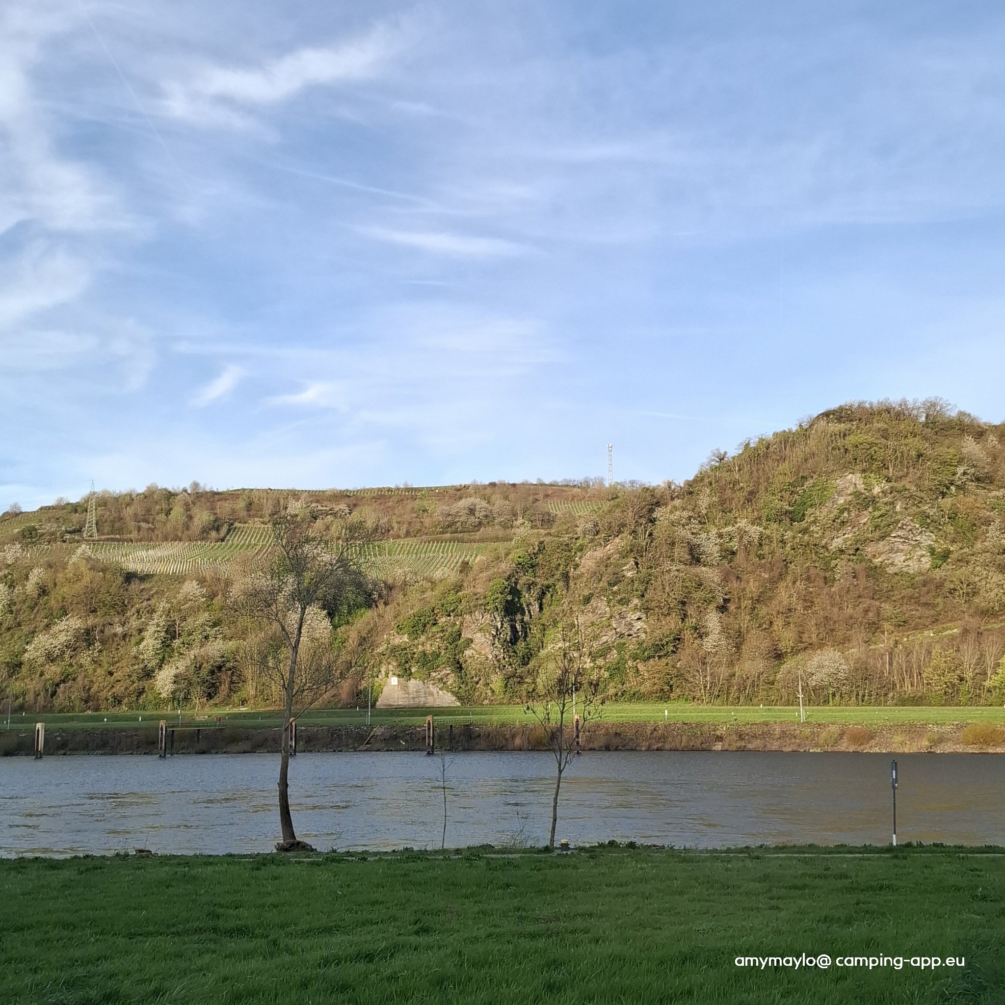 Mosel Stellplatz Wintrich — Foto 4
