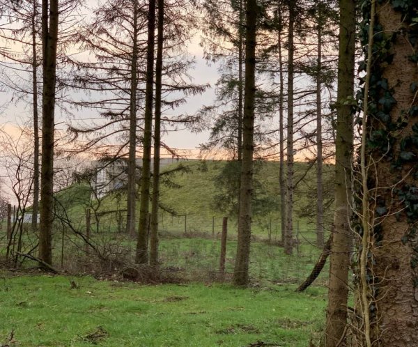 Hohenkamp Camping — Photo 4