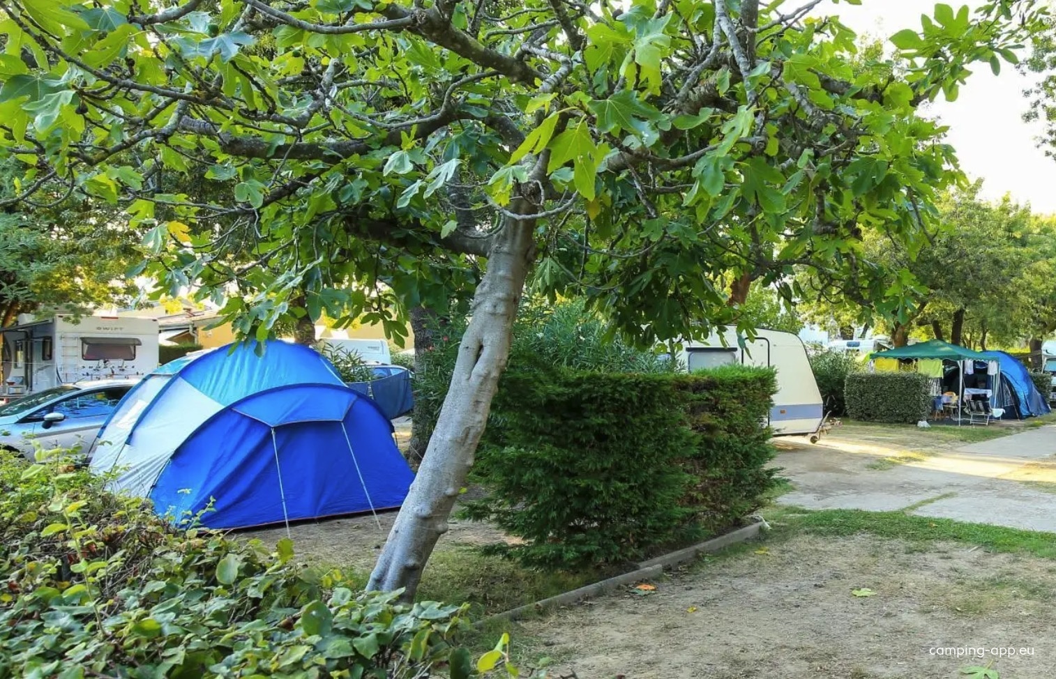 Camping Les Pruniers — 露营地 in Mandelieu-la-Napoule