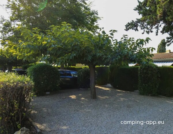 Camping Les Pruniers — Photo 3