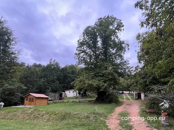 Camping à la Ferme du Seuillet — Photo 2