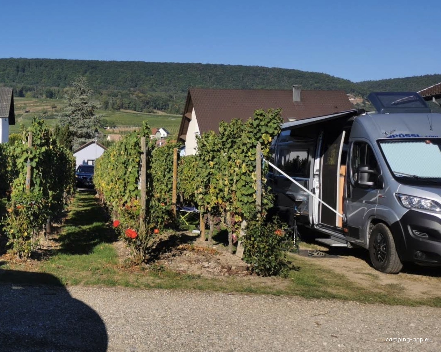 Domaine Walter — Winery in Pfaffenheim