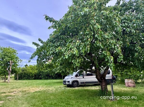 Camping à la ferme Bimboes Eric