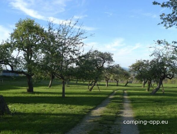 Camping Montagny-les-Lanches