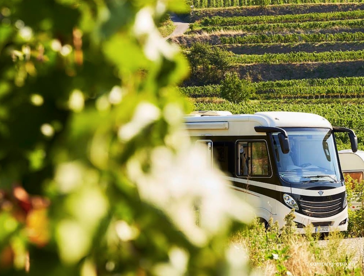 Stellplatz Vogtsburg im Kaiserstuhl — Vineri in Vogtsburg im Kaiserstuhl
