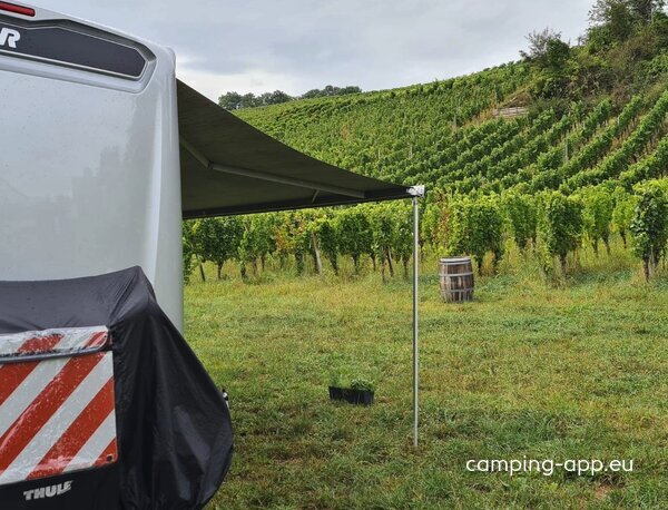 Weingut Huck- Wagner — Fotografie 2