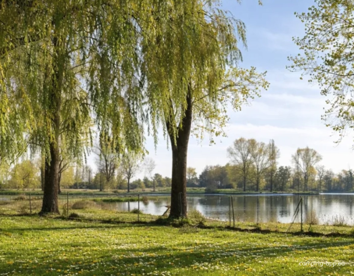 Camping l'Oasis des Dombes *** — Camping Site in Ambérieux-en-Dombes
