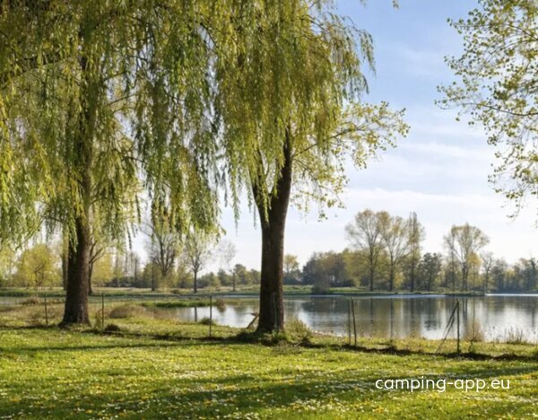 Camping l'Oasis des Dombes *** — Fotoğraf 3