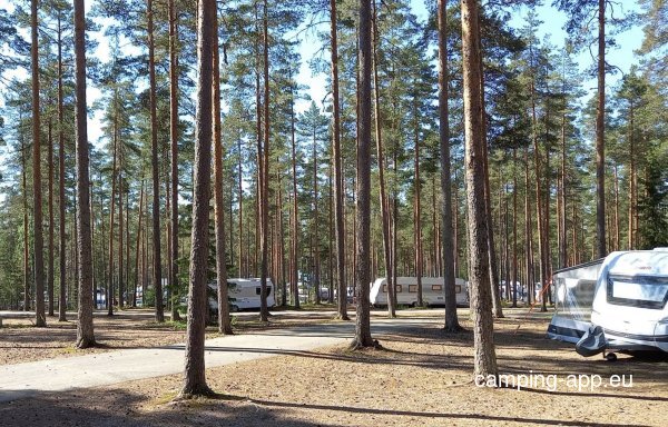 SF-C Kuninkaanlähde