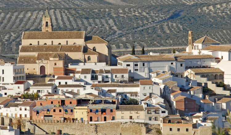 Aire de camping-car de Baena (Córdoba) — Karavan Sitesi in Baena