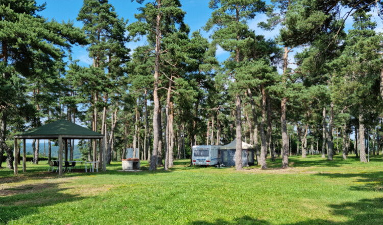 Camping de mon Village de Allègre, La Pinède (Haute Loire) — Camping Site in Allègre