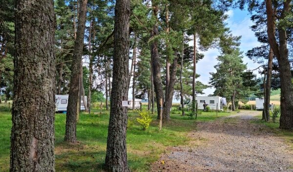 Camping de mon Village de Allègre, La Pinède (Haute Loire) — Photo 3