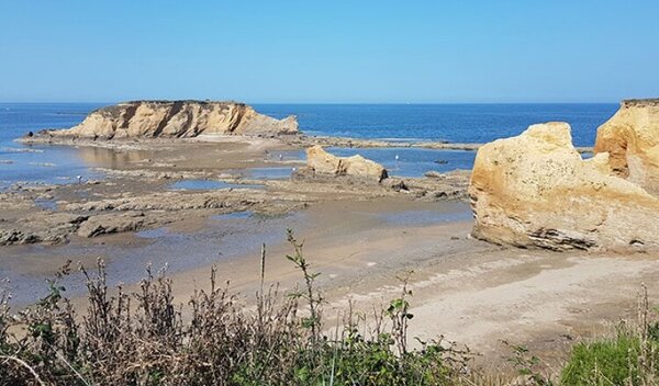 Aire de camping-car de Pénestin, Le Béchet (Morbihan) — Photo 3