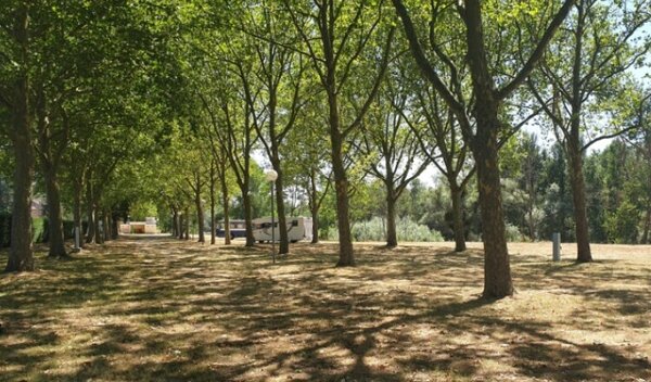 Aire de camping-car de Bruère-Allichamps (Cher) — Photo 3