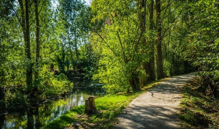 Aire de camping-car de Thénioux (Cher) — Sítio para autocaravanas in Thénioux