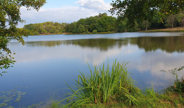 Aire de camping-car de Saint-Christophe-de-Double (Gironde) — Foto 2