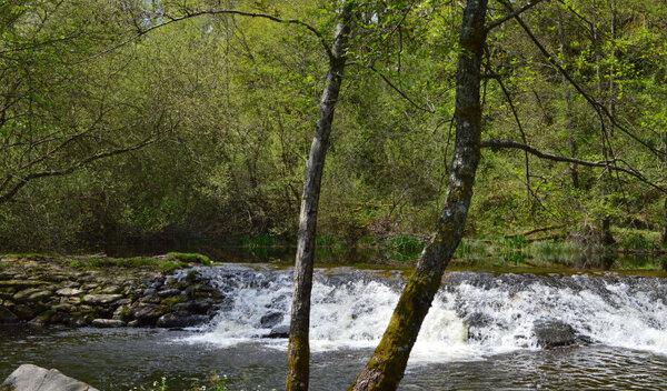 Aire de camping-car de Nedde (Haute Vienne) — Photo 3