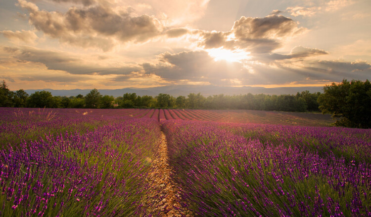Aire de camping-car de Barjac (Gard) — Stellplatz in Barjac