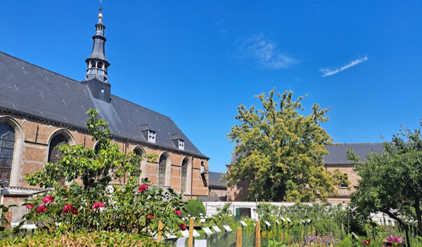 Aire de camping-car de Lessines (Hainaut) — Photo 2