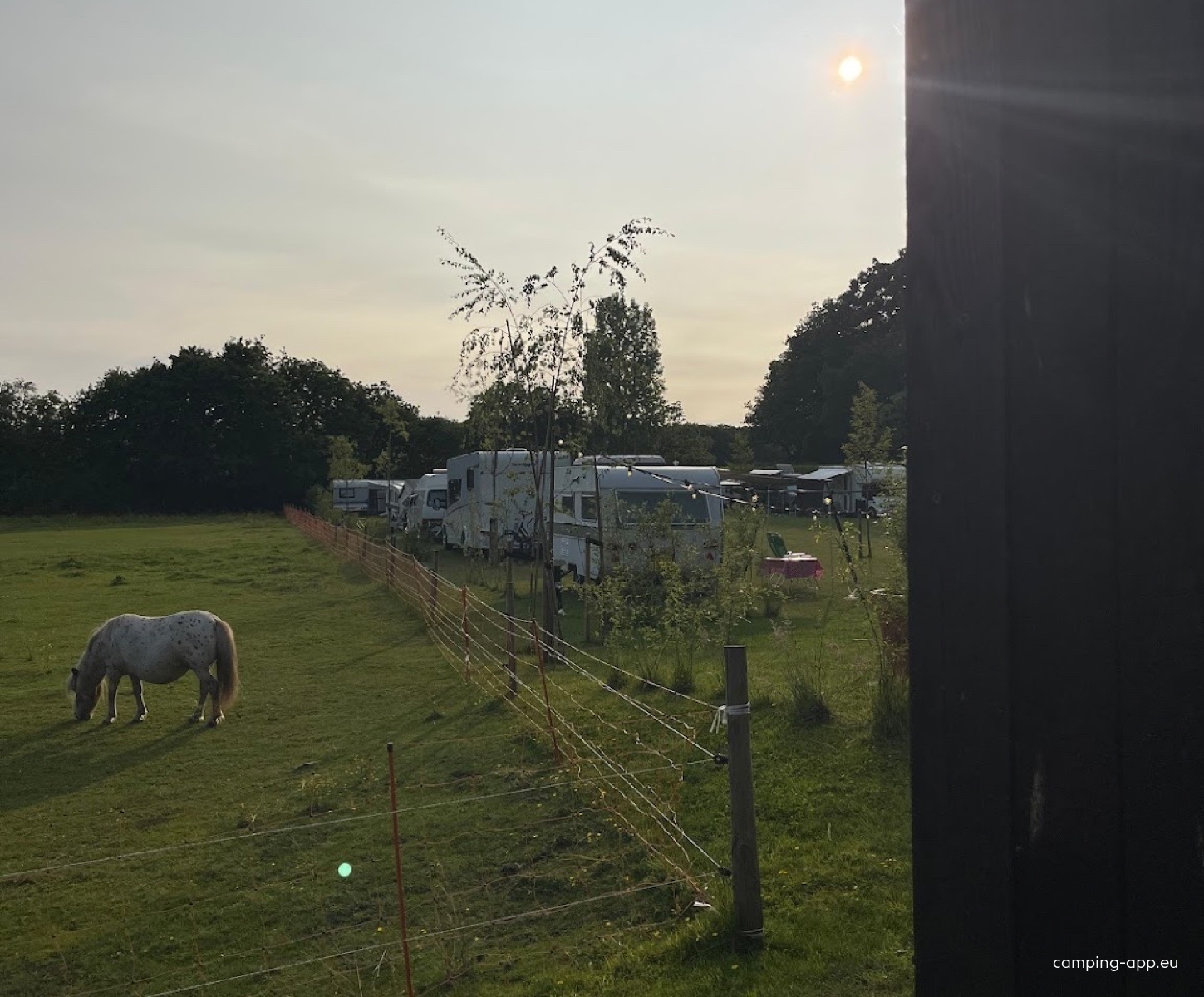 Camping Sparjebird — Camping in Hemrik