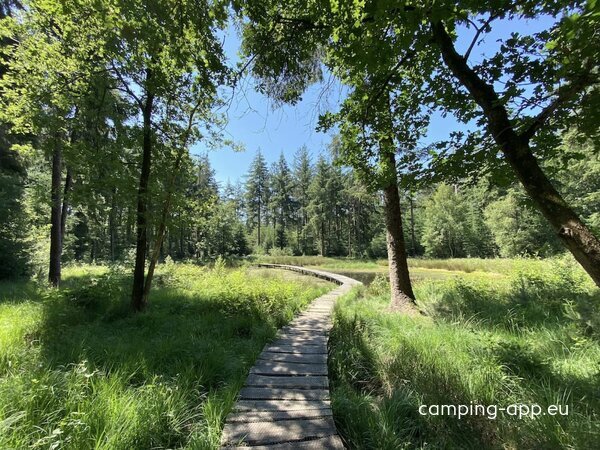 Camping Sparjebird — Fotografie 3