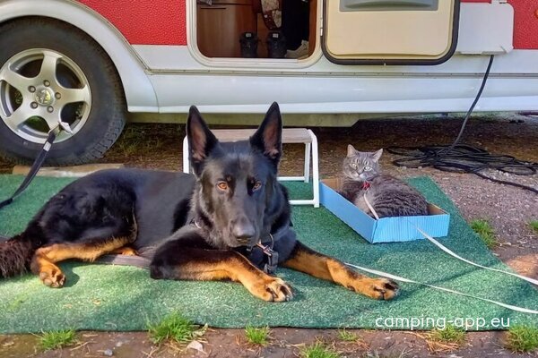 Kultahiekka Caravan — Photo 3